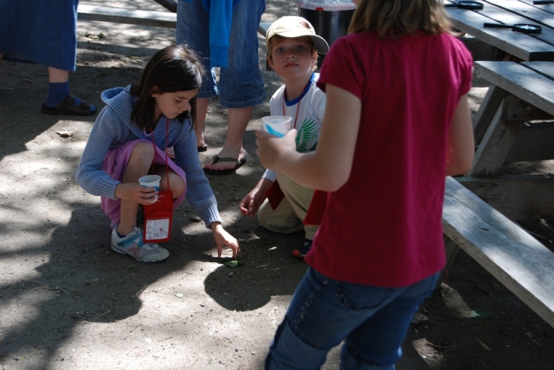 DSC_4476.jpg